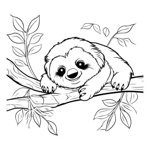 Black and White Cartoon Illustration of Cute Baby Sloth Animal f