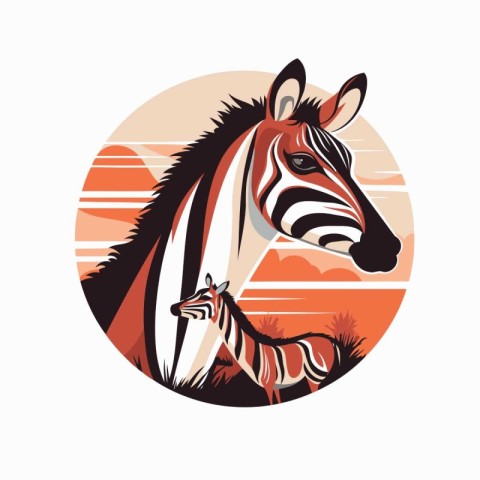 Zebra with cub in the background of the sunset. Vector illustrat