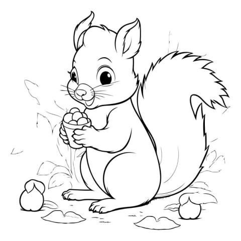 Black and white squirrel with eggs. Vector illustration for colo