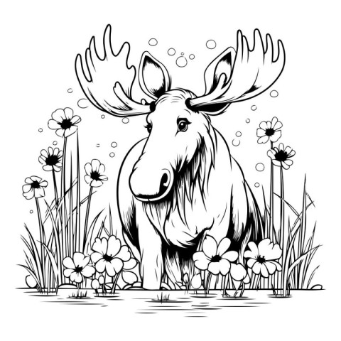 Moose in the meadow with flowers. Monochrome vector illustration