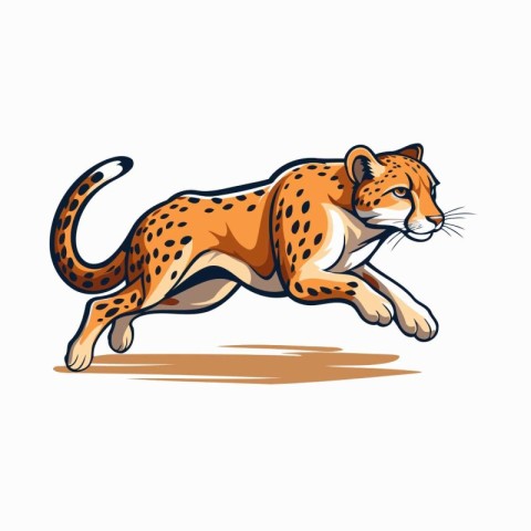 Cheetah. Vector illustration of a cheetah jumping.