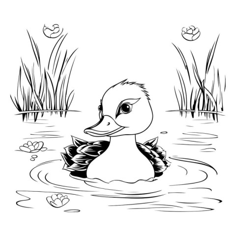 Duck on the lake. Black and white vector illustration for colori