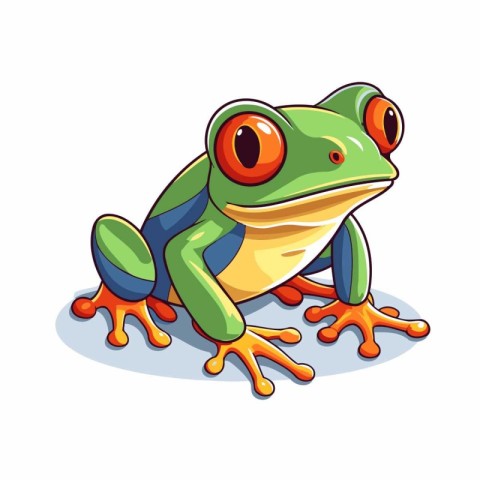 Frog cartoon character. Vector illustration isolated on a white