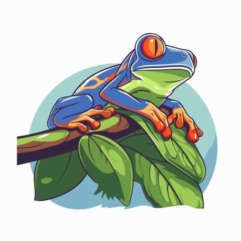 Vector illustration of a red-eyed tree frog sitting on a branch