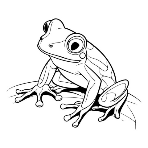 illustration of a frog on a white background in the style of a s