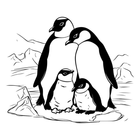 Penguin family. Black and white vector illustration of penguins.