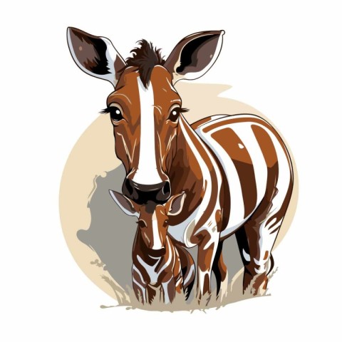 Vector illustration of a wild zebra on a white background. Carto