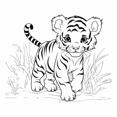 Cute tiger cub in the grass. Black and white vector illustration