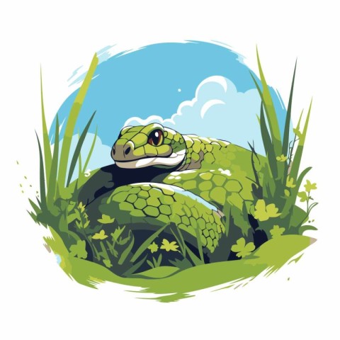 Green snake in the grass. Vector illustration on a white backgro