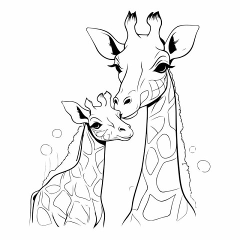 Giraffe mother and baby vector illustration isolated on white ba