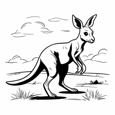 Kangaroo on a background of the sky. Vector illustration.