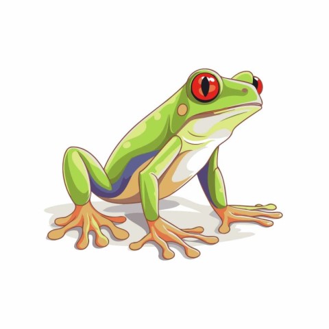 Frog isolated on white background. Cartoon style. Vector illustr