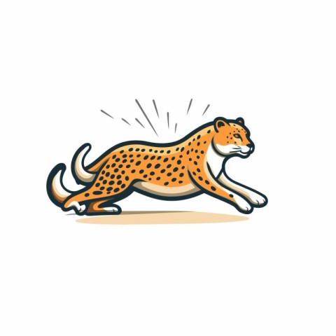 Cheetah running vector illustration. Isolated on white backgroun