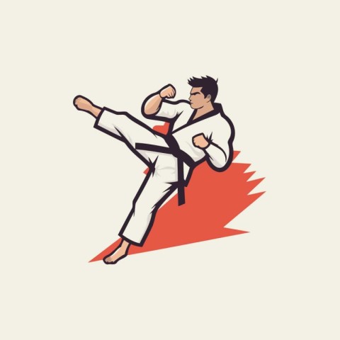 Taekwondo fighter with karate belt. Vector illustration.