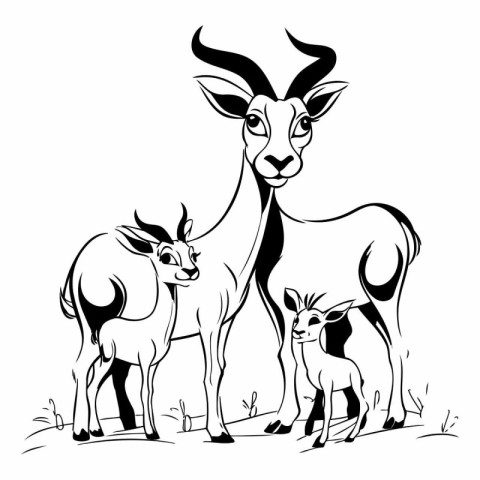 black and white vector illustration of a group of antelope and b