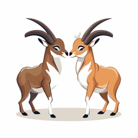 Vector illustration of a pair of antelope isolated on white back