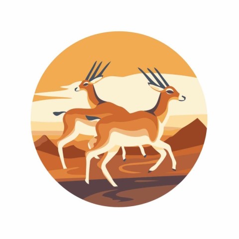 Two antelopes in the desert. Vector illustration in flat style