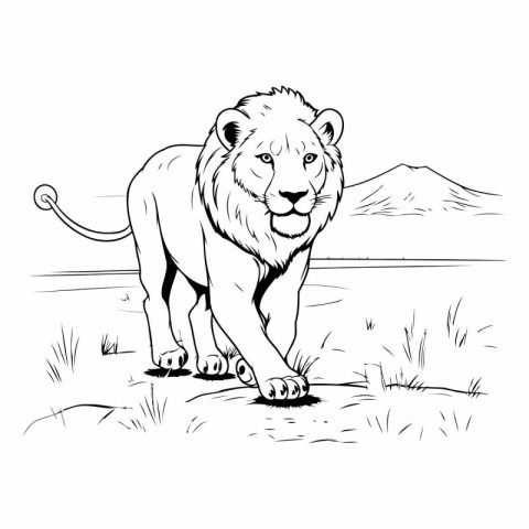 Lion in the savannah. Black and white vector illustration.