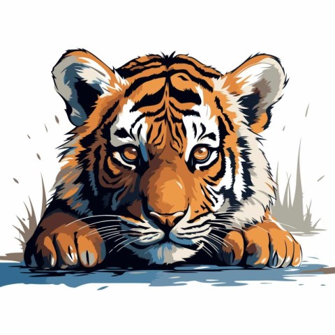 Tiger. Vector illustration of a tiger on a white background.