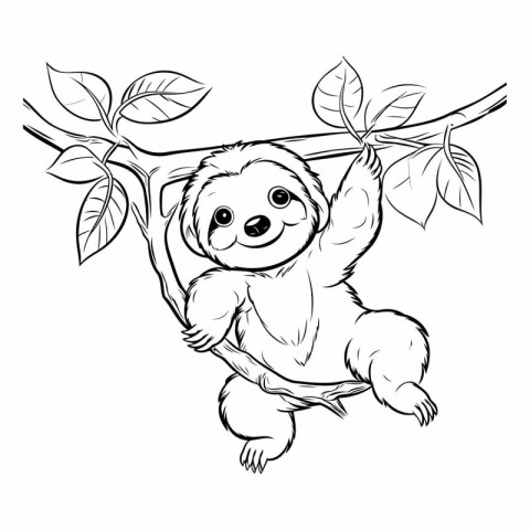 Cute cartoon sloth hanging on a tree branch. Vector illustration