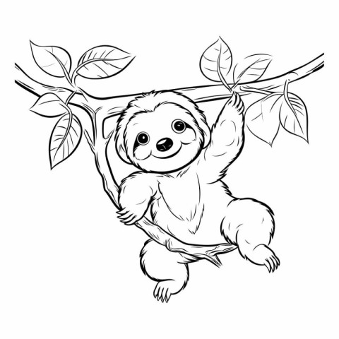 Cute cartoon sloth hanging on a tree branch. Vector illustration