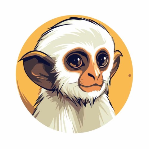 Portrait of a monkey. Vector illustration on a white background.