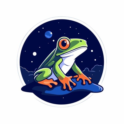 Frog on the background of the night sky. Vector illustration.