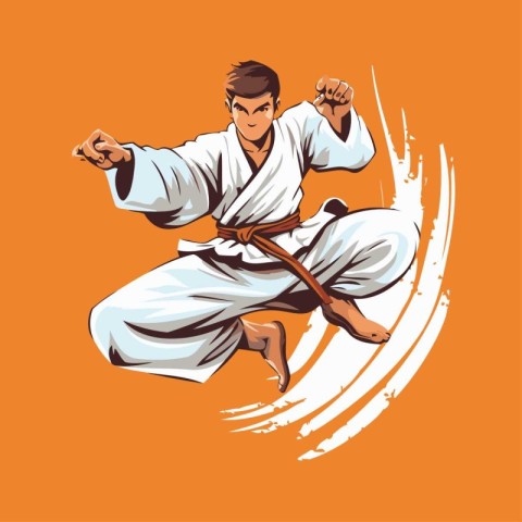 karate fighter vector illustration on an orange background with