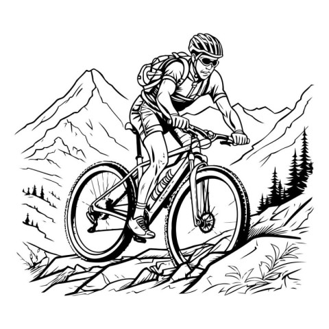 Mountain biker. Vector illustration of a mountain biker.