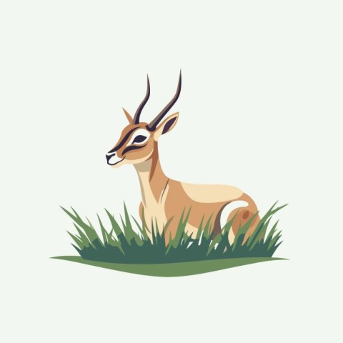 Vector image of a gazelle on the grass in flat style