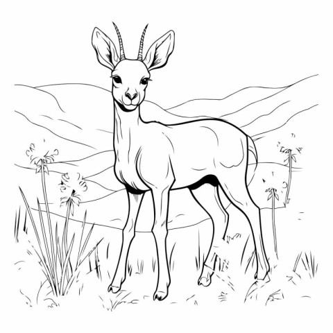 Black and white sketch of a wild gazelle. Vector illustration