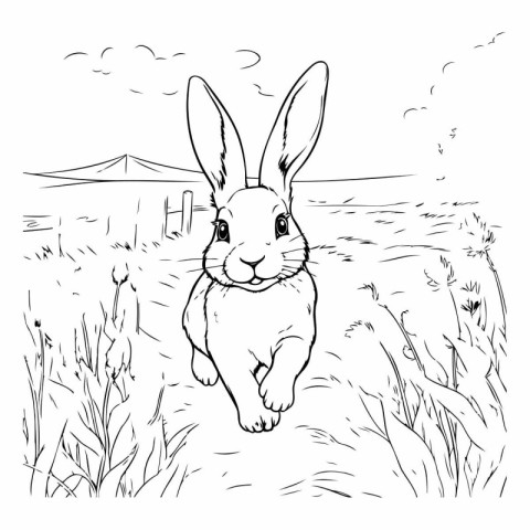 Rabbit running in the field. Vector illustration for coloring bo