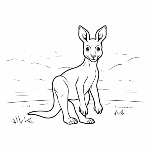 Kangaroo vector illustration. Hand drawn kangaroo sketch.