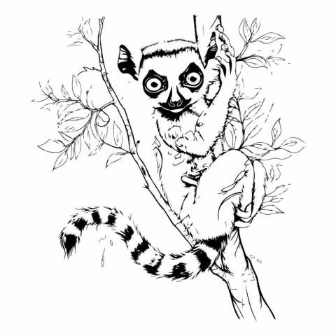 Black and white vector illustration of a lemur sitting on a tree