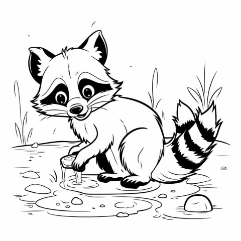 Cute raccoon sitting on the ground and drinking water. vector il