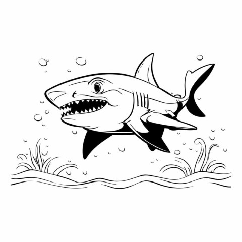 Shark in the water. Black and white vector illustration for colo