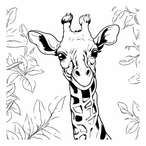 Giraffe. Hand drawn vector illustration. Coloring page for adult