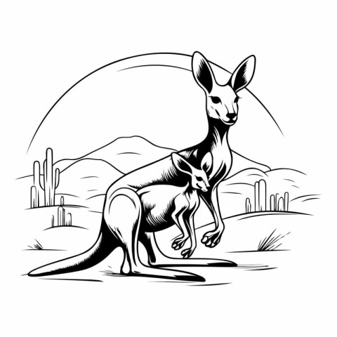 Kangaroo in the desert. Kangaroo black and white vector illustra