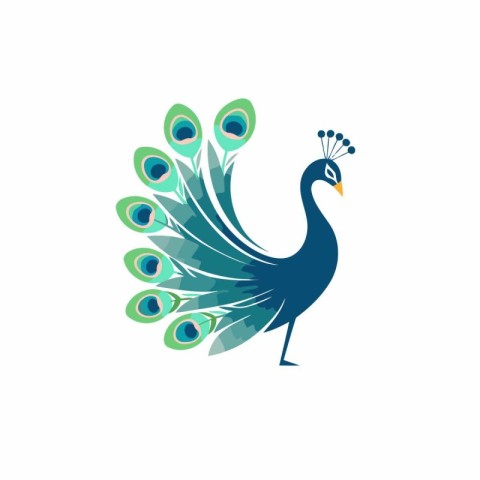 Peacock vector logo design template. Beautiful peacock illustrat