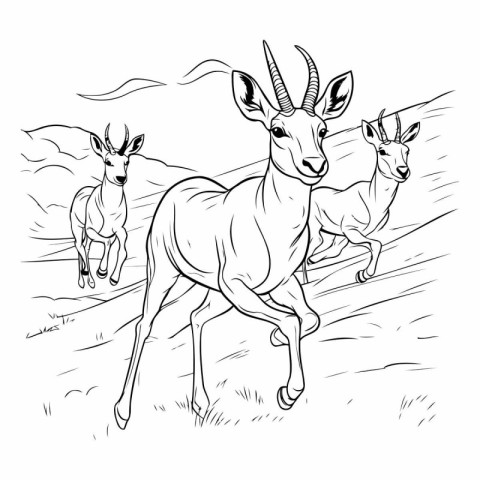 Black and white vector illustration of antelope and gazelle.