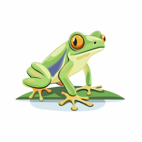 Cartoon green frog isolated on a white background. Vector illust