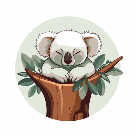 Koala sitting on eucalyptus tree vector illustration.