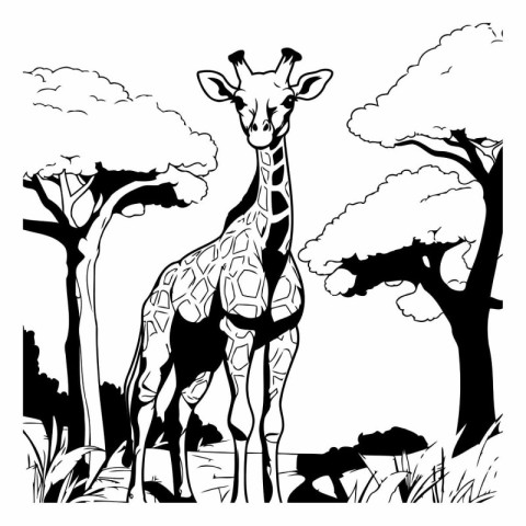 Giraffe in the savannah. black and white vector illustration