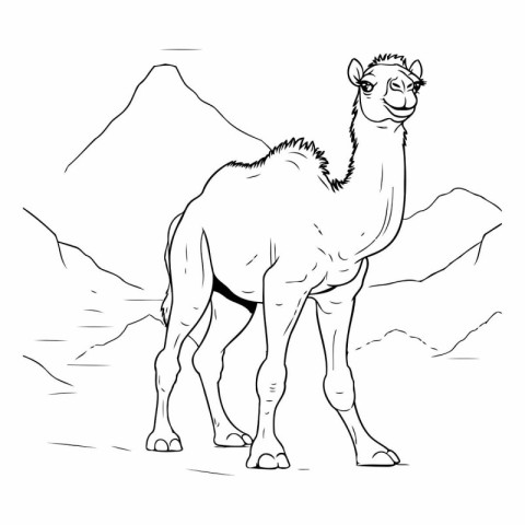 Camel standing on the background of mountains. Hand drawn vector