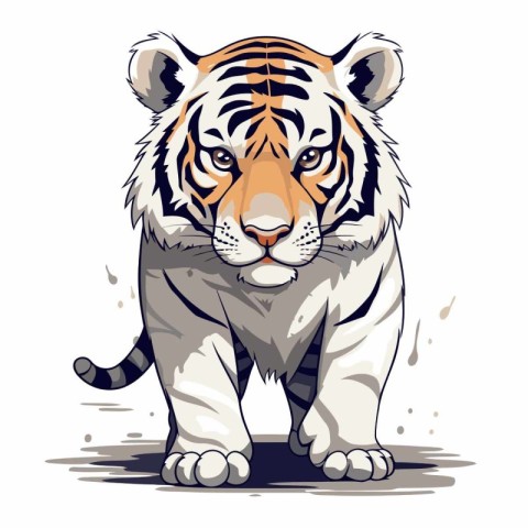 Illustration of a tiger on a white background. Vector illustrati