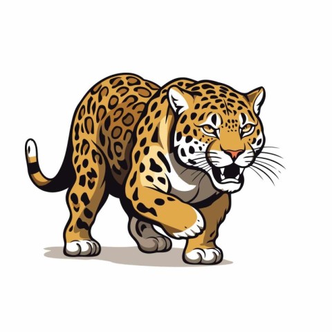 Illustration of a leopard on white background. Vector illustrati