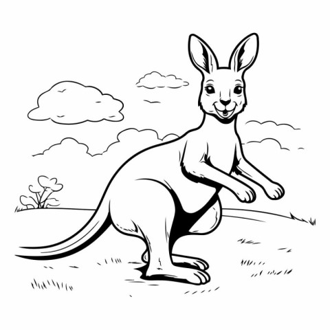 Kangaroo - black and white vector illustration for coloring book