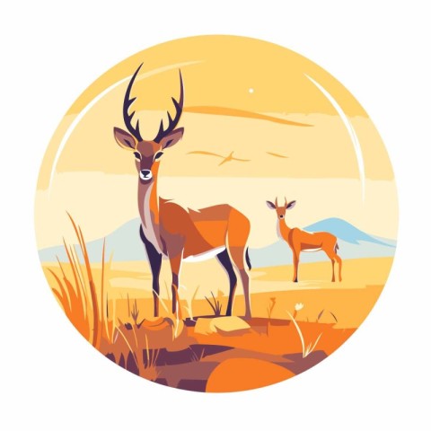 Vector illustration of antelope and fawn in the meadow at sunset