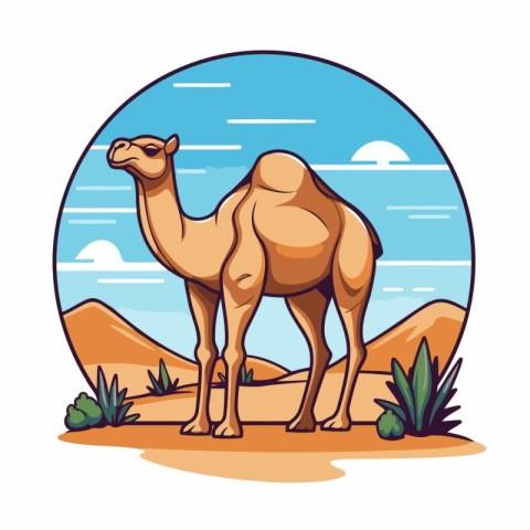 Camel in the desert. Vector illustration in a flat style.