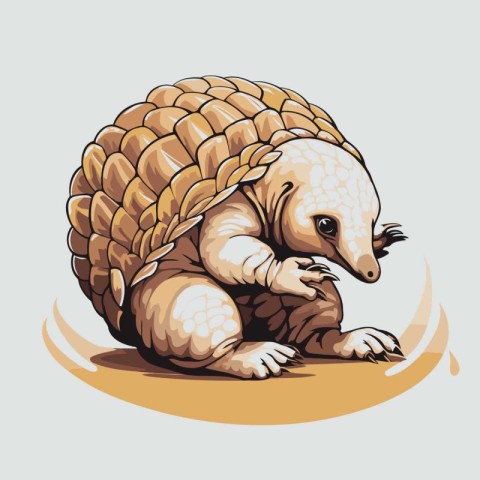 Vector image of an armadillo. Vector illustration of an armadill